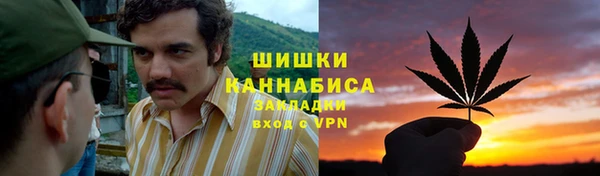 трава Сатка