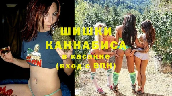 трава Сатка