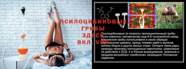 трава Сатка