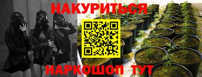 прущие крисы Апрелевка