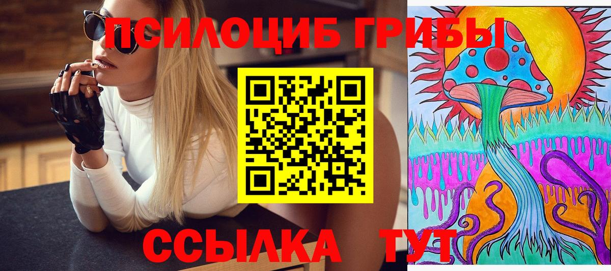 Псилоцибиновые грибы MAGIC MUSHROOMS  Галлюциногенные грибы MAGIC MUSHROOMS  Вход с VPN  закладки  Бузулук 