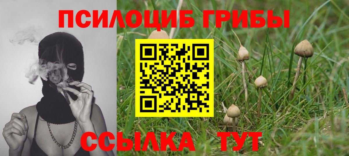 Меф  Гашиш  Магазины продажи наркотиков  A-PVP  25-NBOMe  Бузулук  Метамфетамин  Вход с VPN 
